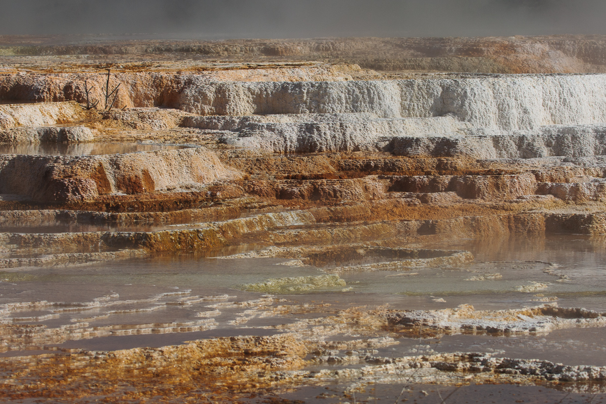 Mammoth Hot Springs travertine terraces in Yellowstone