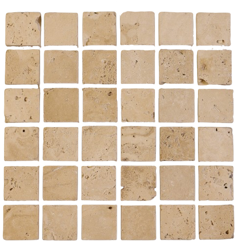 1000 Ivory
