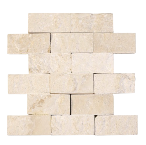 3005 Shellstone
