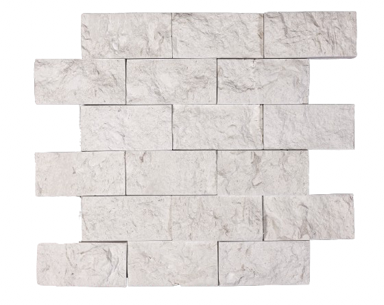 3005 Shellstone