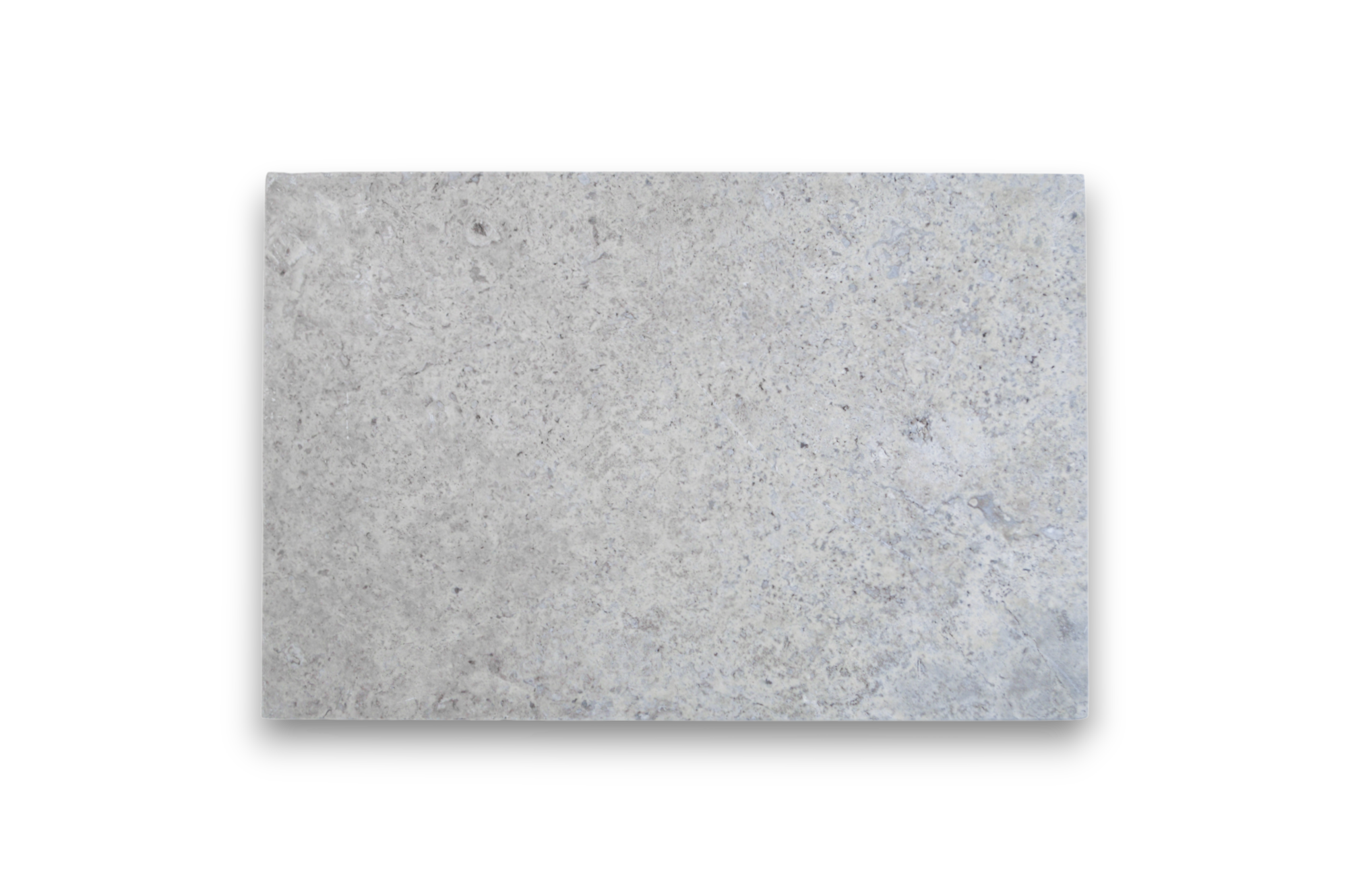 3008 Silver Standard