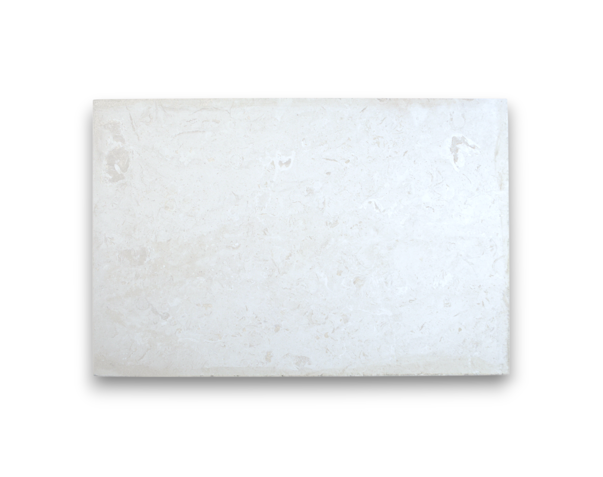 5005 Shellstone
